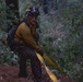 Timber Fire