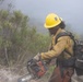 Timber Fire