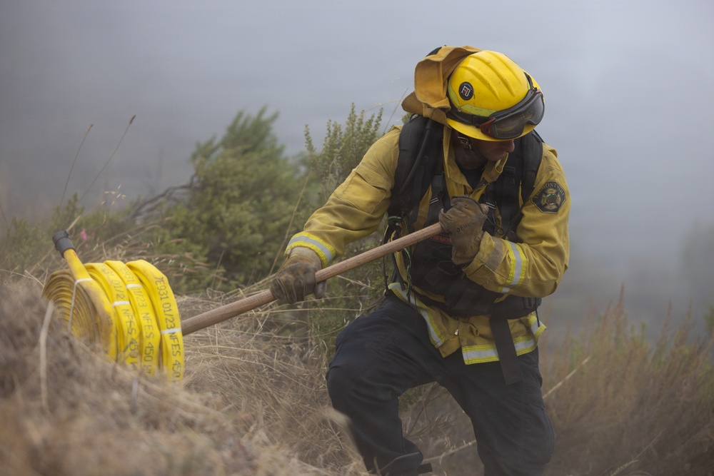 Timber Fire