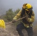 Timber Fire
