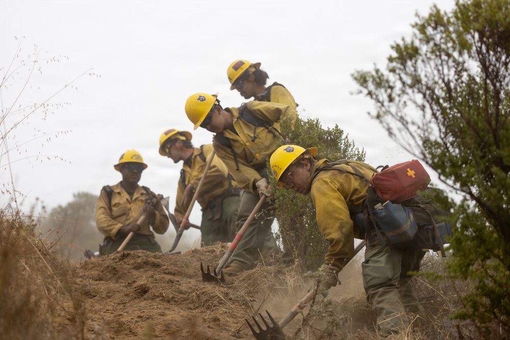 Timber Fire