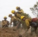 Timber Fire