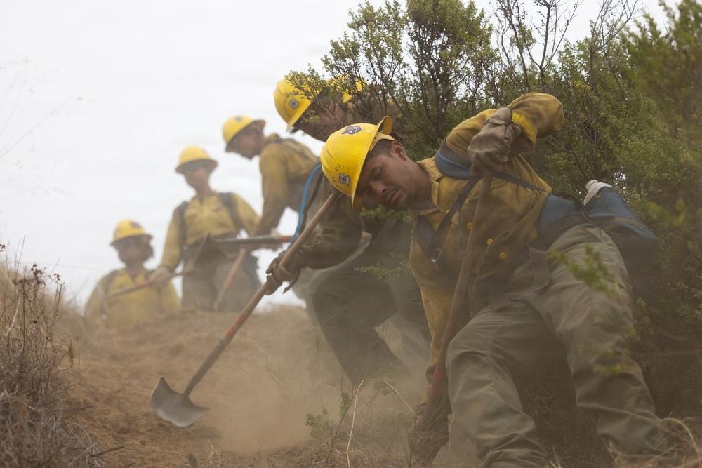 Timber Fire