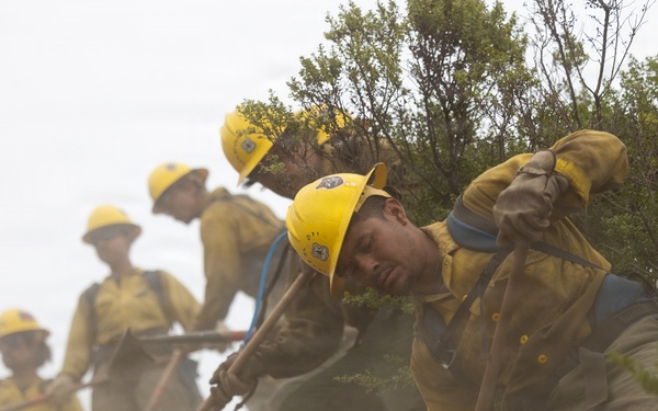 Timber Fire