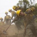 Timber Fire
