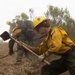 Timber Fire