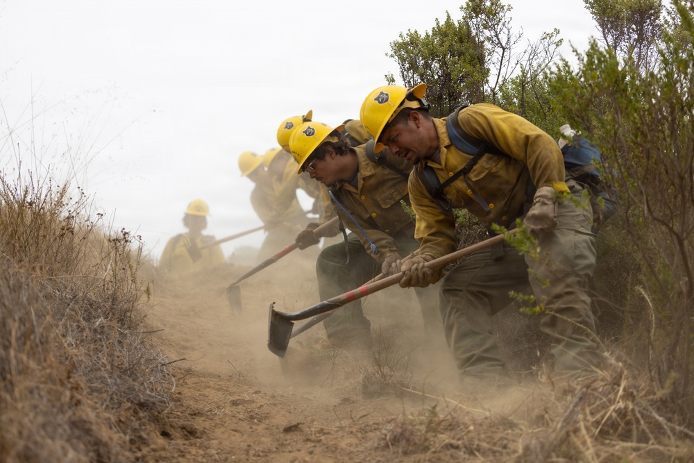 Timber Fire