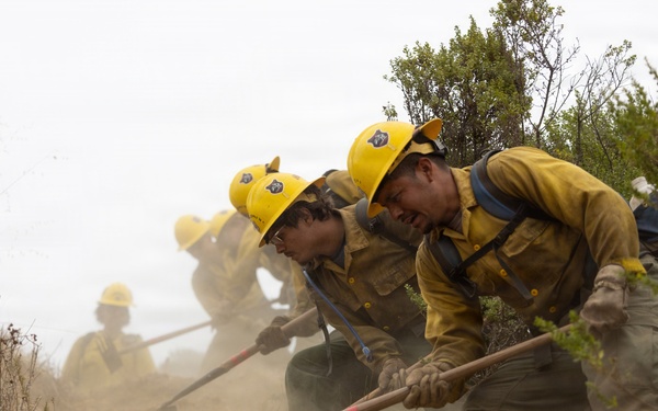 Timber Fire