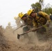 Timber Fire