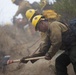 Timber Fire
