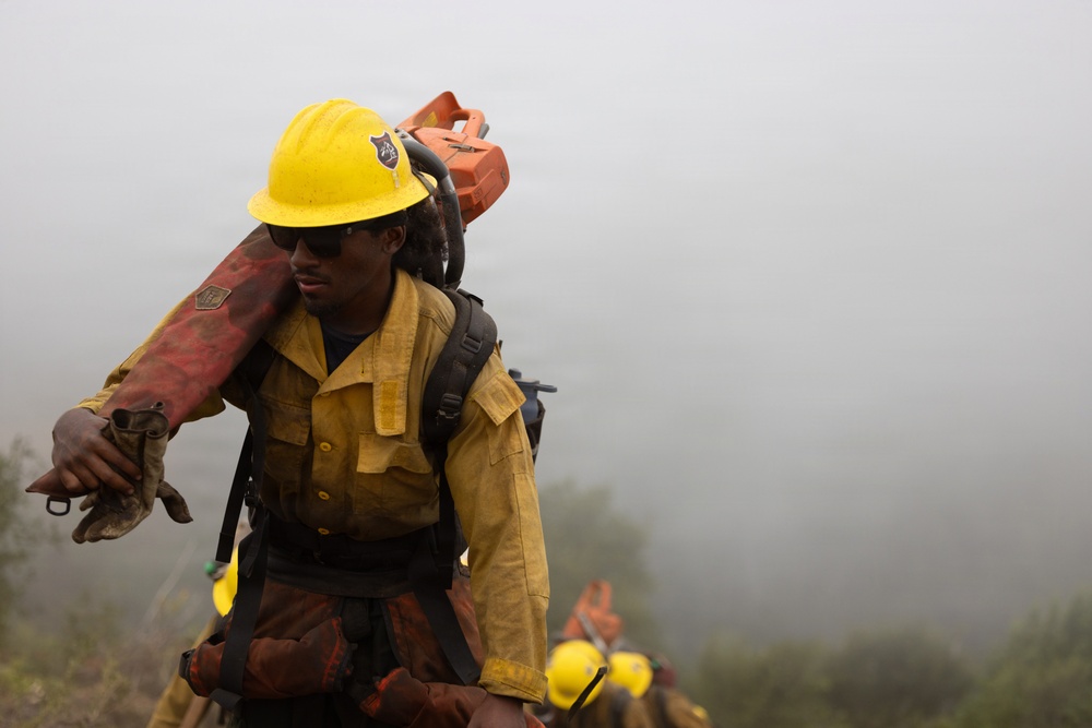Timber Fire