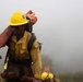 Timber Fire
