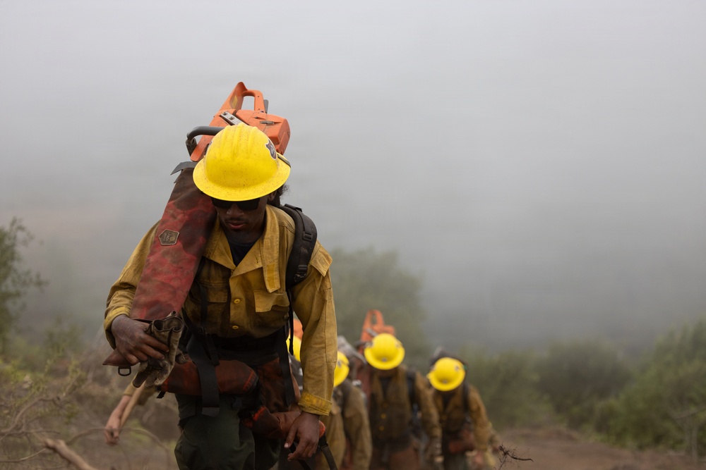 Timber Fire