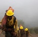 Timber Fire