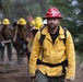 Timber Fire