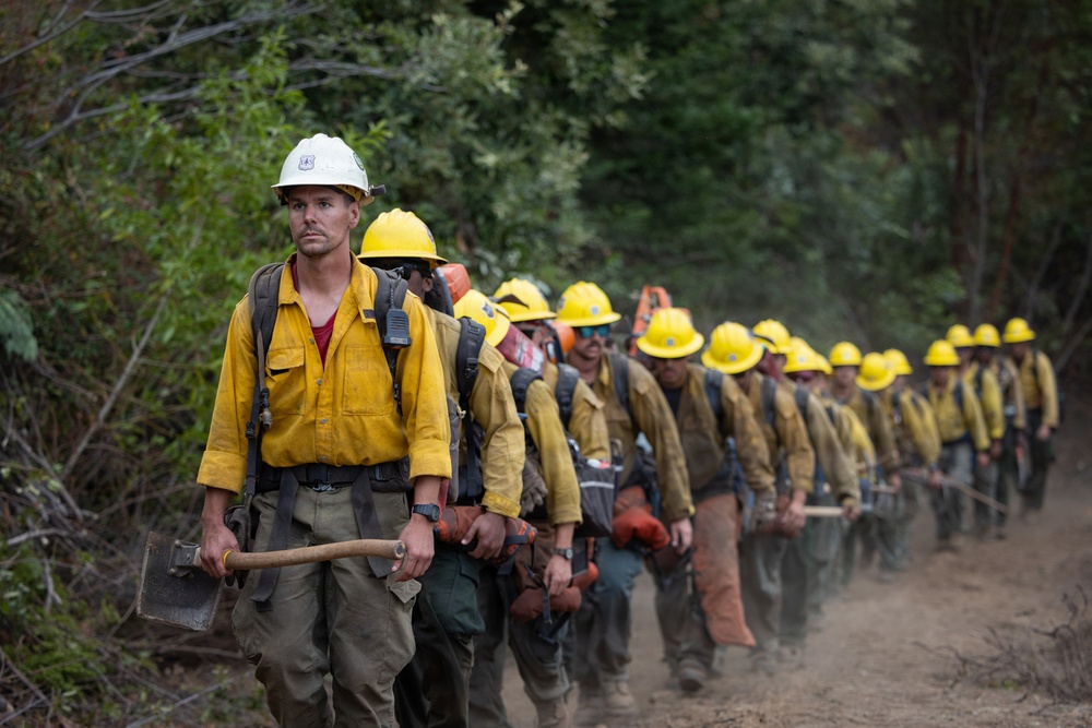 Timber Fire