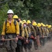 Timber Fire