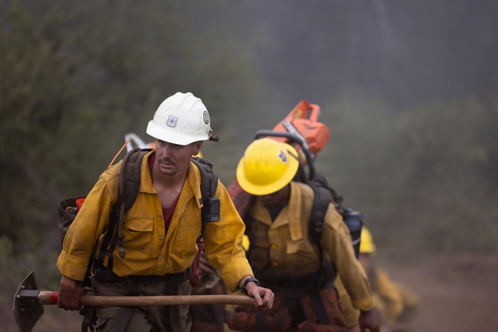 Timber Fire