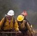 Timber Fire