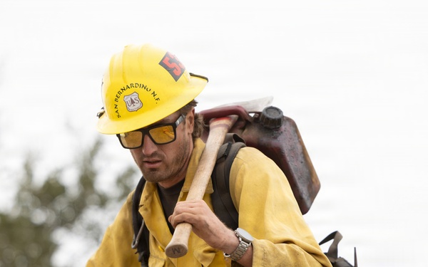 Timber Fire