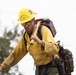 Timber Fire