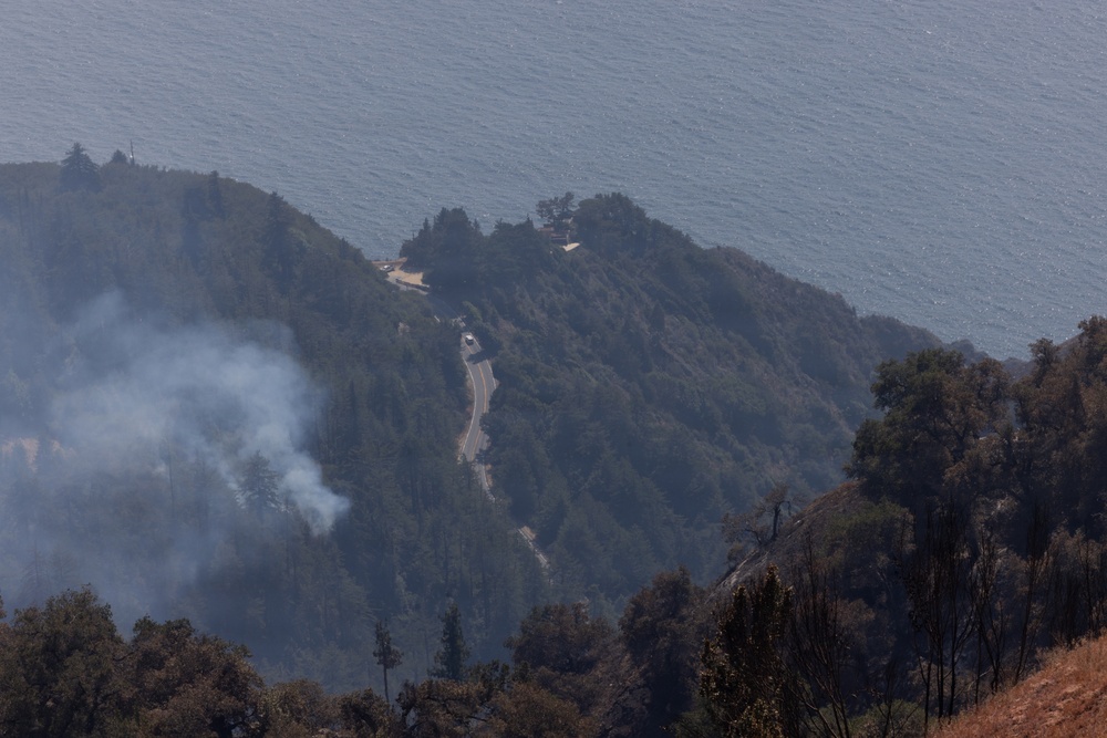 Timber Fire
