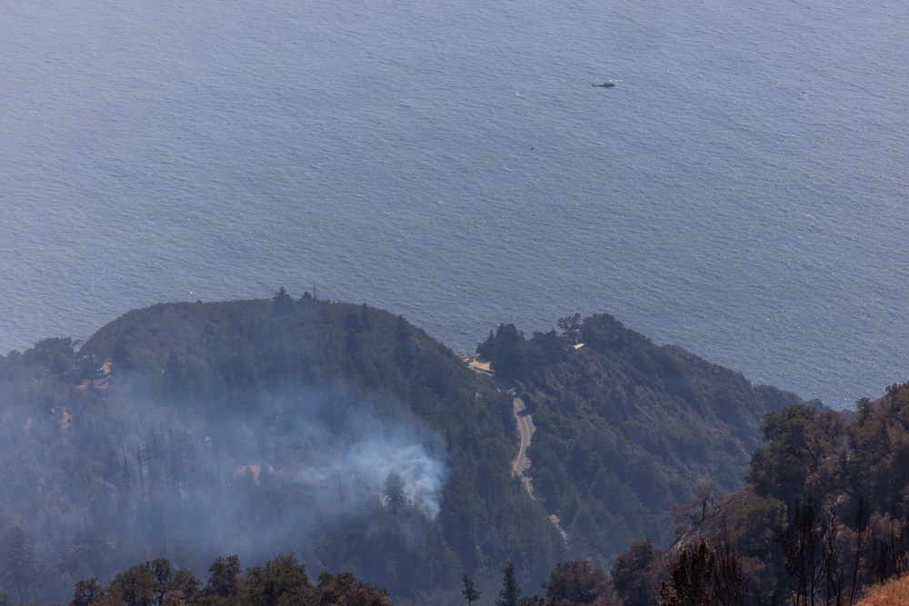 Timber Fire