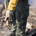 Timber Fire