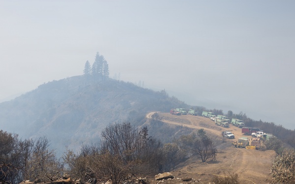 Timber Fire