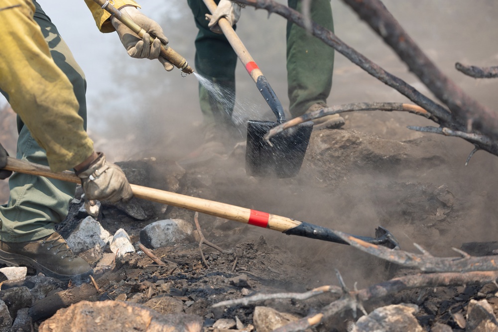 Timber Fire