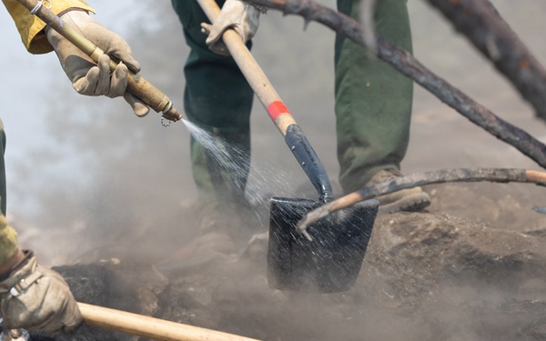 Timber Fire