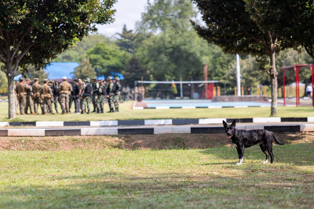 MRF-D Marines train tactics, weapons systems with Indonesian marines
