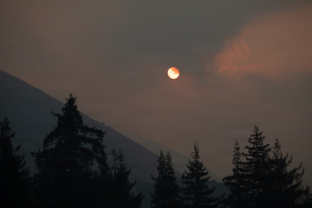 Timber Fire
