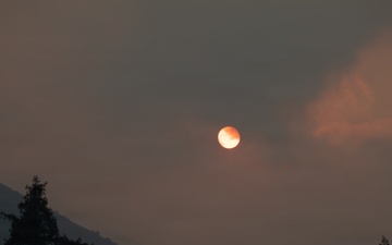 Timber Fire