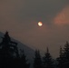 Timber Fire