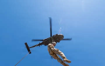 USAREUR-AF Soldiers Conduct Air Assault Training