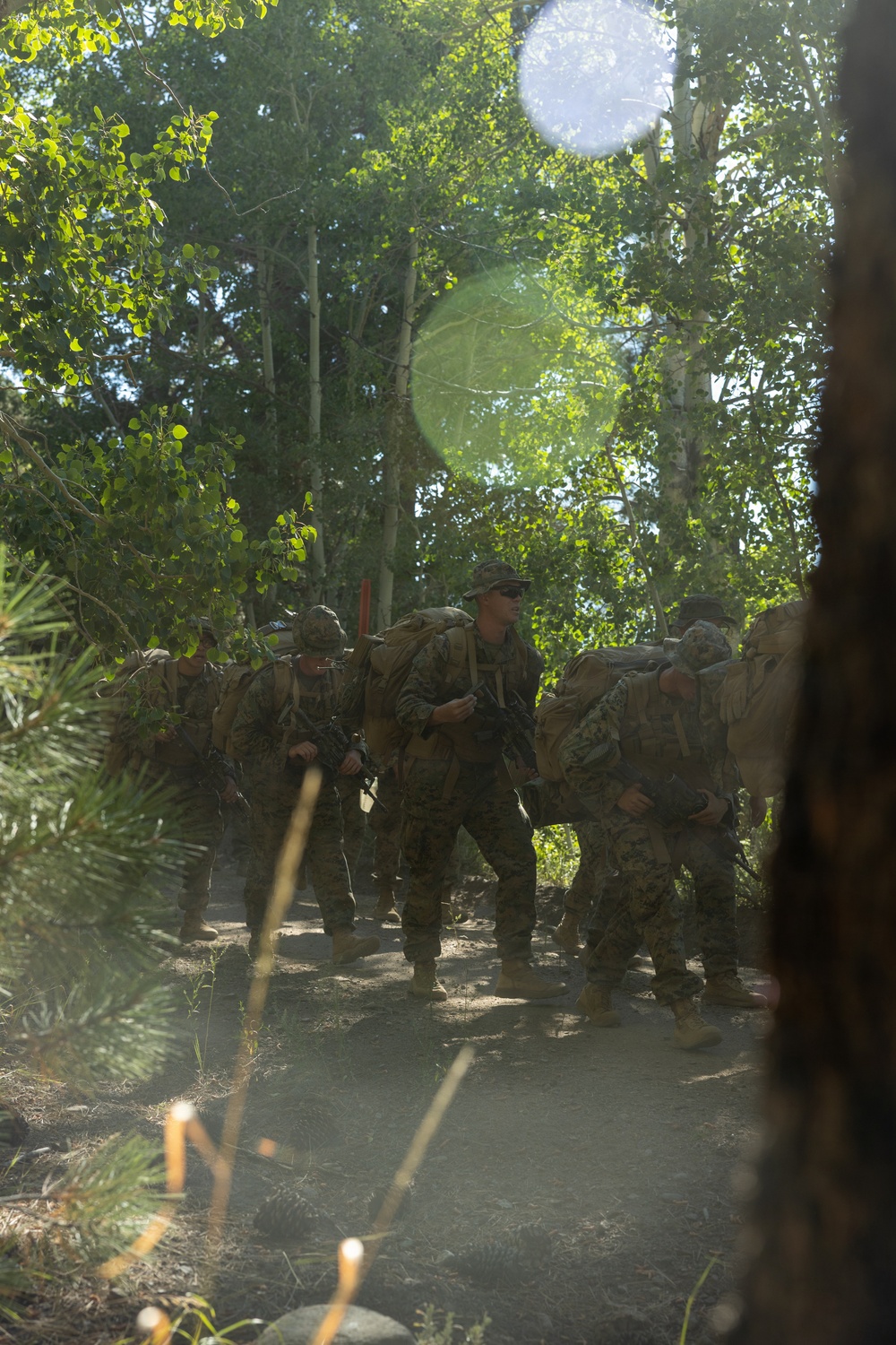 3rd Bn., 4th Marines learn mountain warfare skills during MTX 4-26