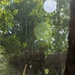 3rd Bn., 4th Marines learn mountain warfare skills during MTX 4-26