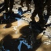 3rd Bn., 4th Marines learn mountain warfare skills during MTX 4-26