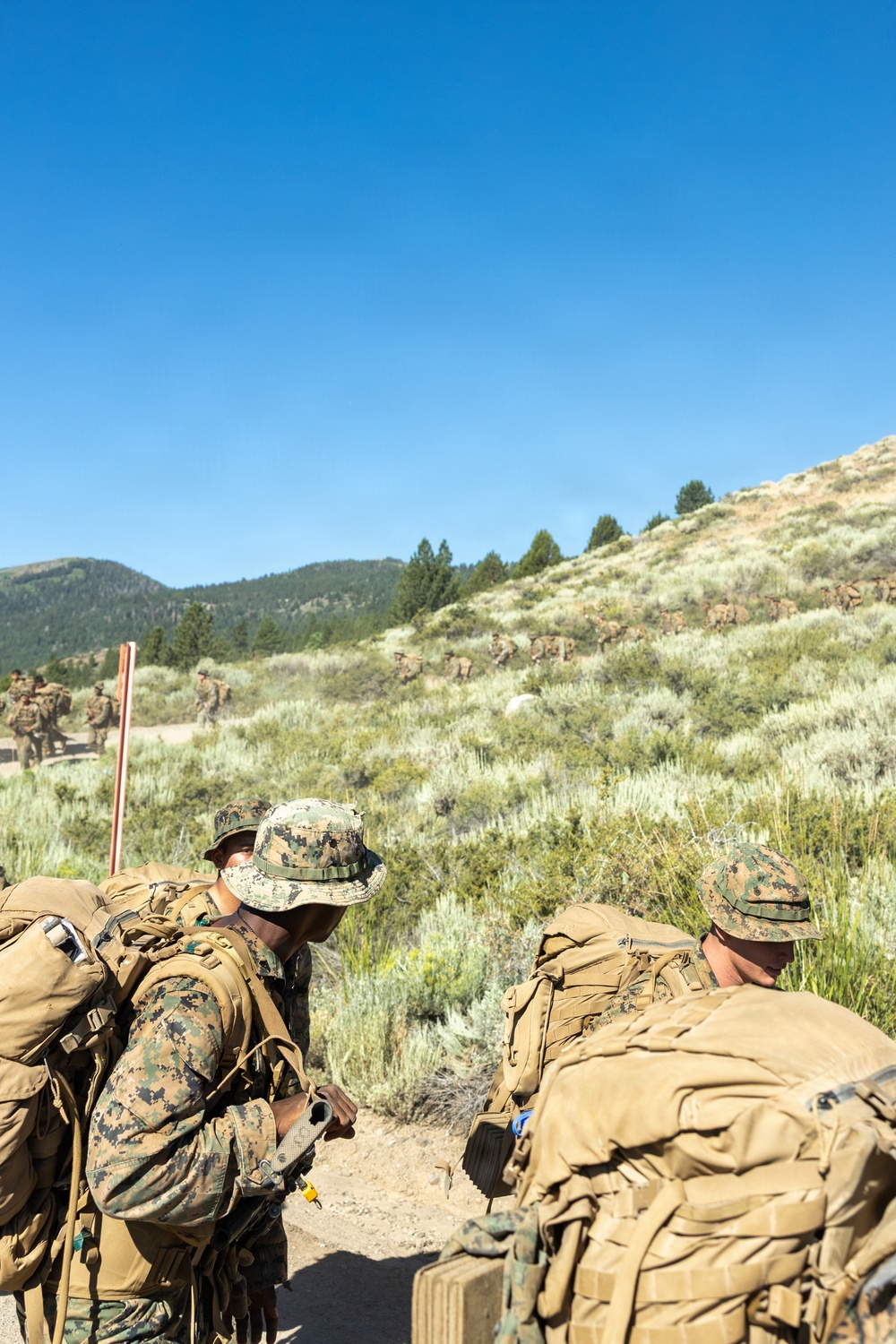 3rd Bn., 4th Marines learn mountain warfare skills during MTX 4-26