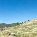 3rd Bn., 4th Marines learn mountain warfare skills during MTX 4-26