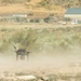 3rd Bn., 4th Marines learn mountain warfare skills during MTX 4-26