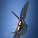 F-22 Showcases Air Dominance at Geneseo Airshow
