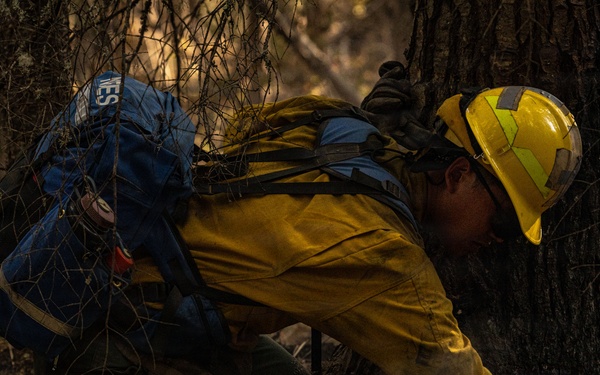 Day 5 Wildlands Fire Suppression Operations Military Task Force Charlie