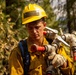 Day 5 Wildlands Fire Suppression Operations Military Task Force Charlie
