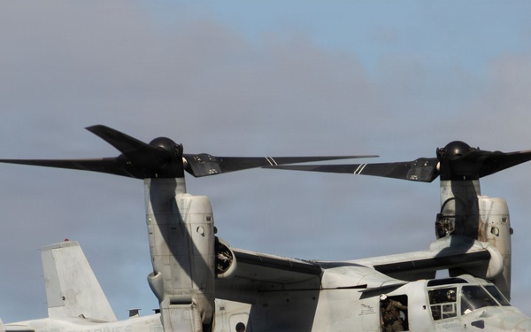 Pacific Airshow Gold Coast 2026: Final day