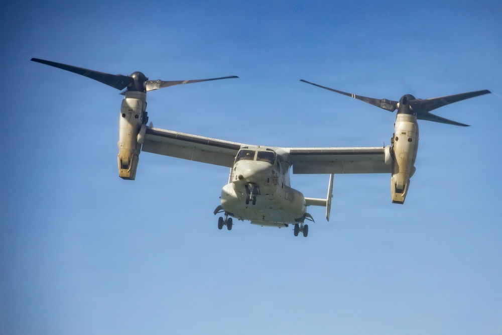 Pacific Airshow Gold Coast 2026: Final day