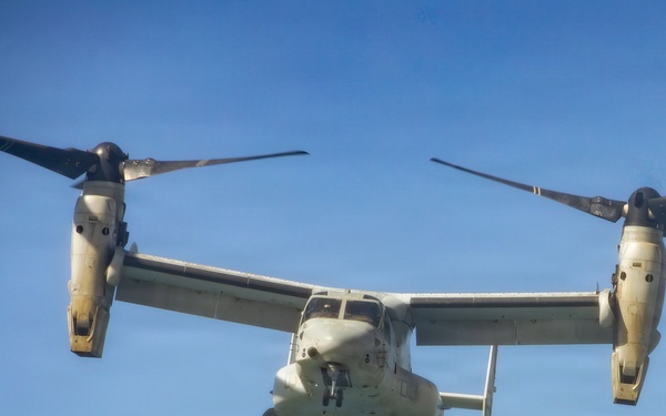 Pacific Airshow Gold Coast 2026: Final day