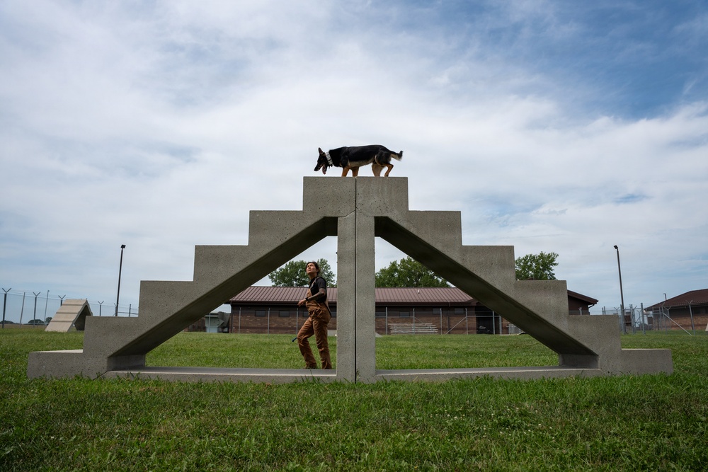 A handler works with a German Shepherd dog on a concrete agility obstacle course at what appears to be a military or law enforcement K9 training facility. The dog is positioned at the apex of a stepped concrete A-frame structure while the handler stands below, looking up and directing the animal. The setting includes institutional buildings, chain-link fencing, and a well-maintained grass field in the background.