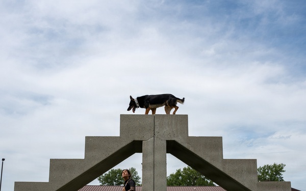 A handler works with a German Shepherd dog on a concrete agility obstacle course at what appears to be a military or law enforcement K9 training facility. The dog is positioned at the apex of a stepped concrete A-frame structure while the handler stands below, looking up and directing the animal. The setting includes institutional buildings, chain-link fencing, and a well-maintained grass field in the background.